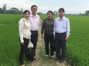 LƯU Ý KHI CHĂM SÓC LÚA ĐÔNG XUÂN 2020-2021